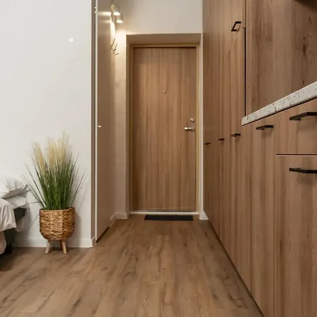 Air 208 Apartment *