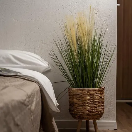 Air 208 Apartment
